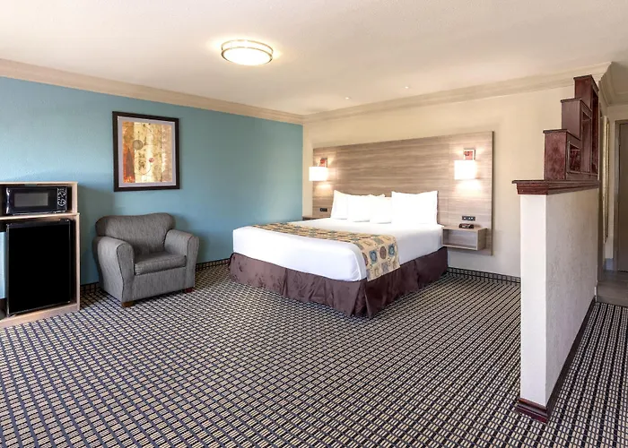 Deluxe Studio Suite
