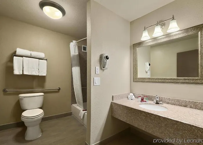 Studio Suite